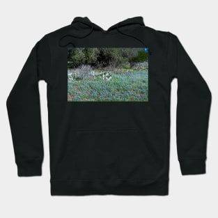 Texas Hill Country Bluebonnets in Spring Hoodie